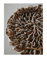 Playing with plants- a soft intro to basketry techniques