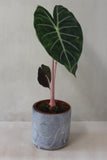 Blue smoke cylindrical vessel- Salvaged ash glaze (planter/vase/utensil holder)
