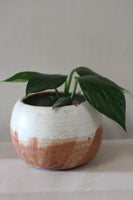 Orb planter- Shino